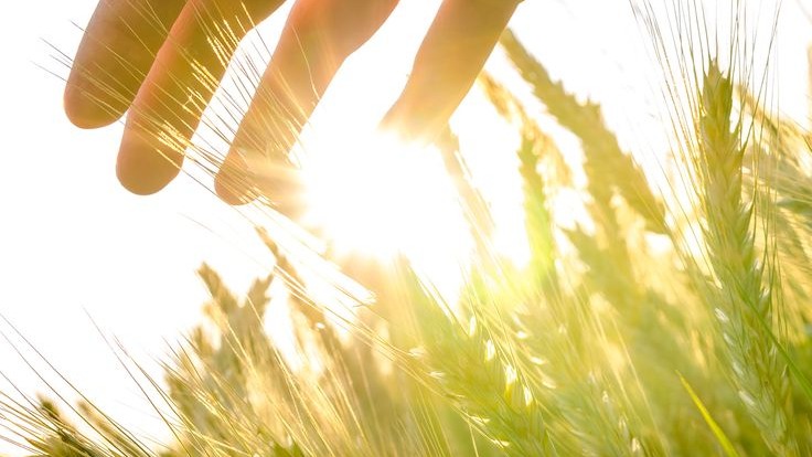 LIVING IN PROVISION CONSCIOUSNESS